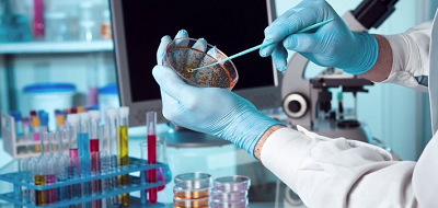 رشته میکروبیولوژی رشته میکروبیولوژی