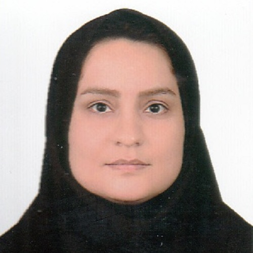 مائده افشارنسب